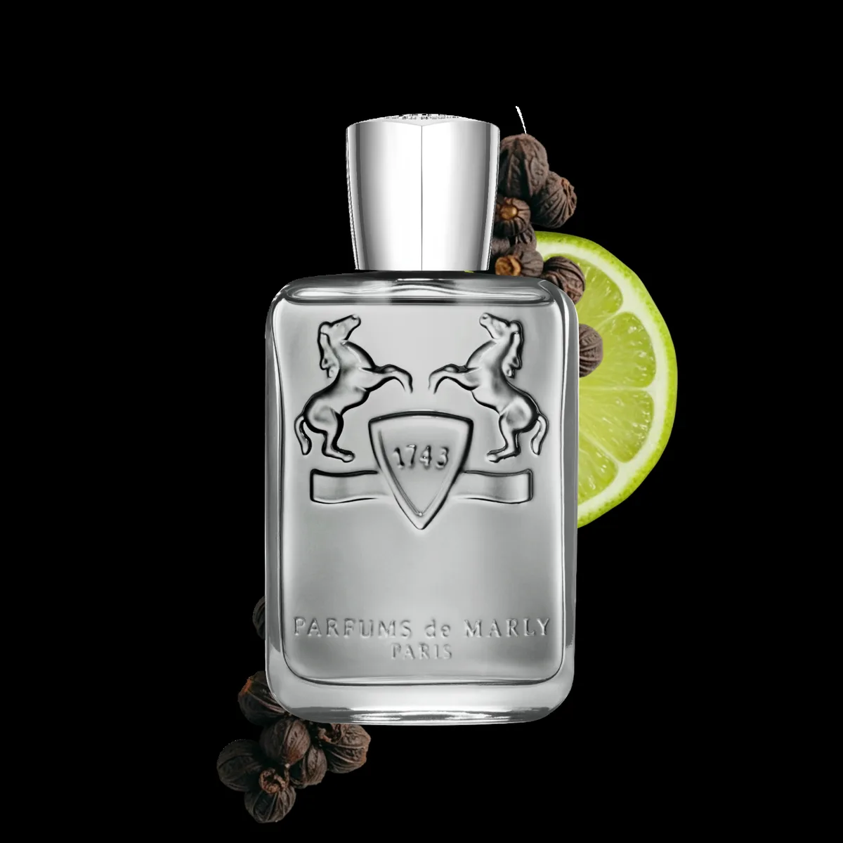 Parfums de Marly Castley Eau de Parfum 125ml
