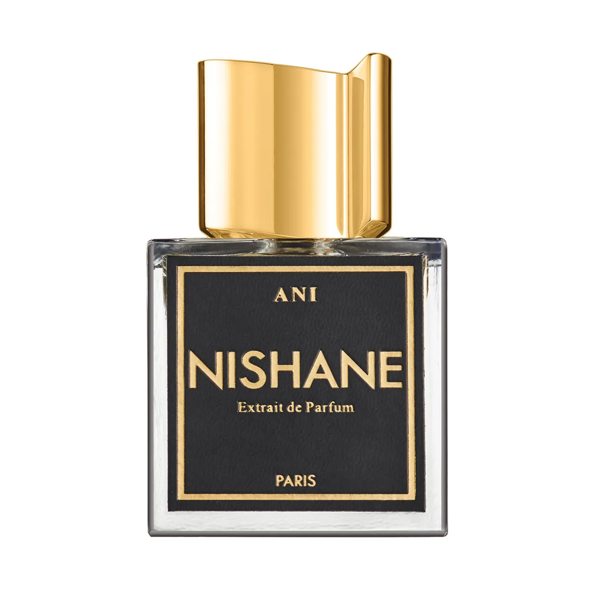 Nishane Ani Extrait de Parfum Eau de Parfum 100ml