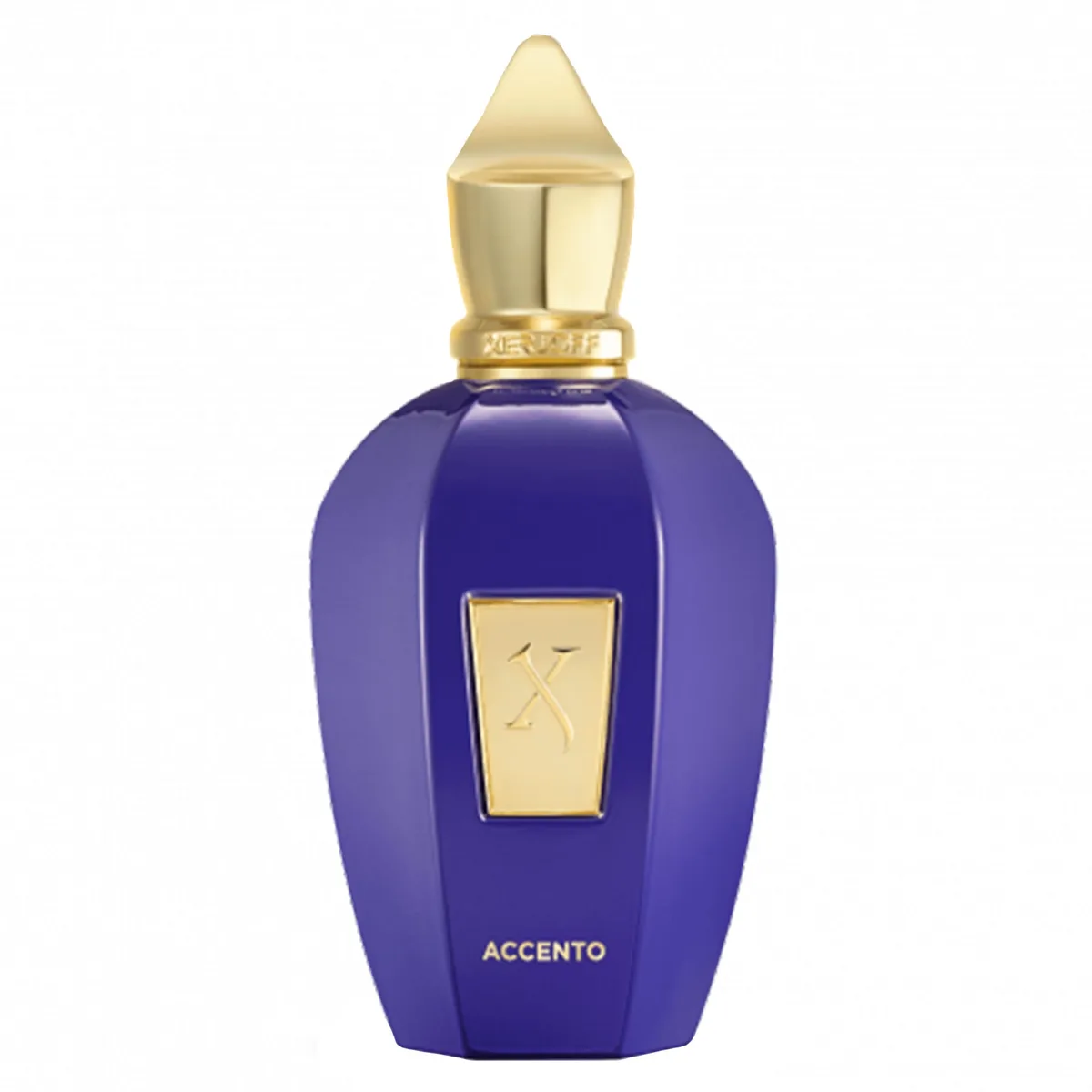 Xerjoff V Accento Eau de Parfum Eau de Parfum 100ml
