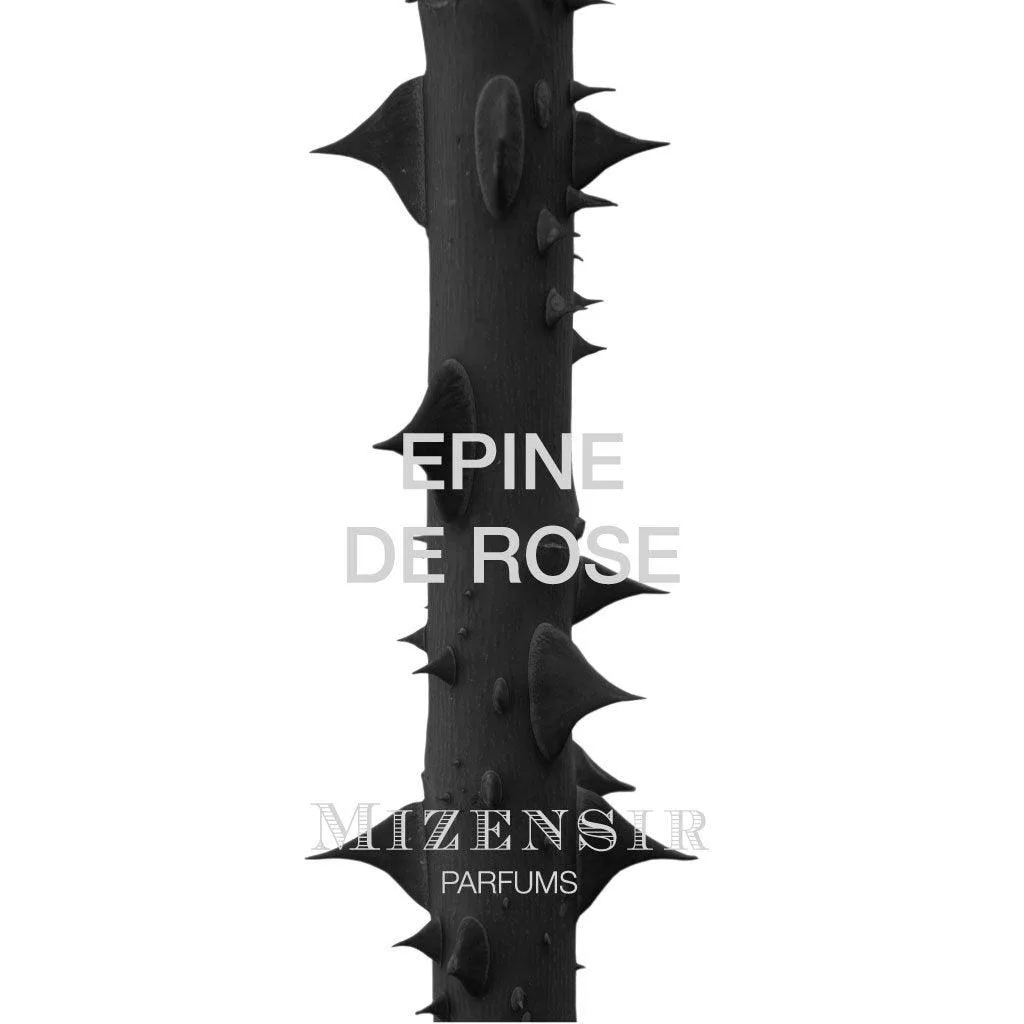 Mizensir Epine de Rose Eau de Parfum 100ml