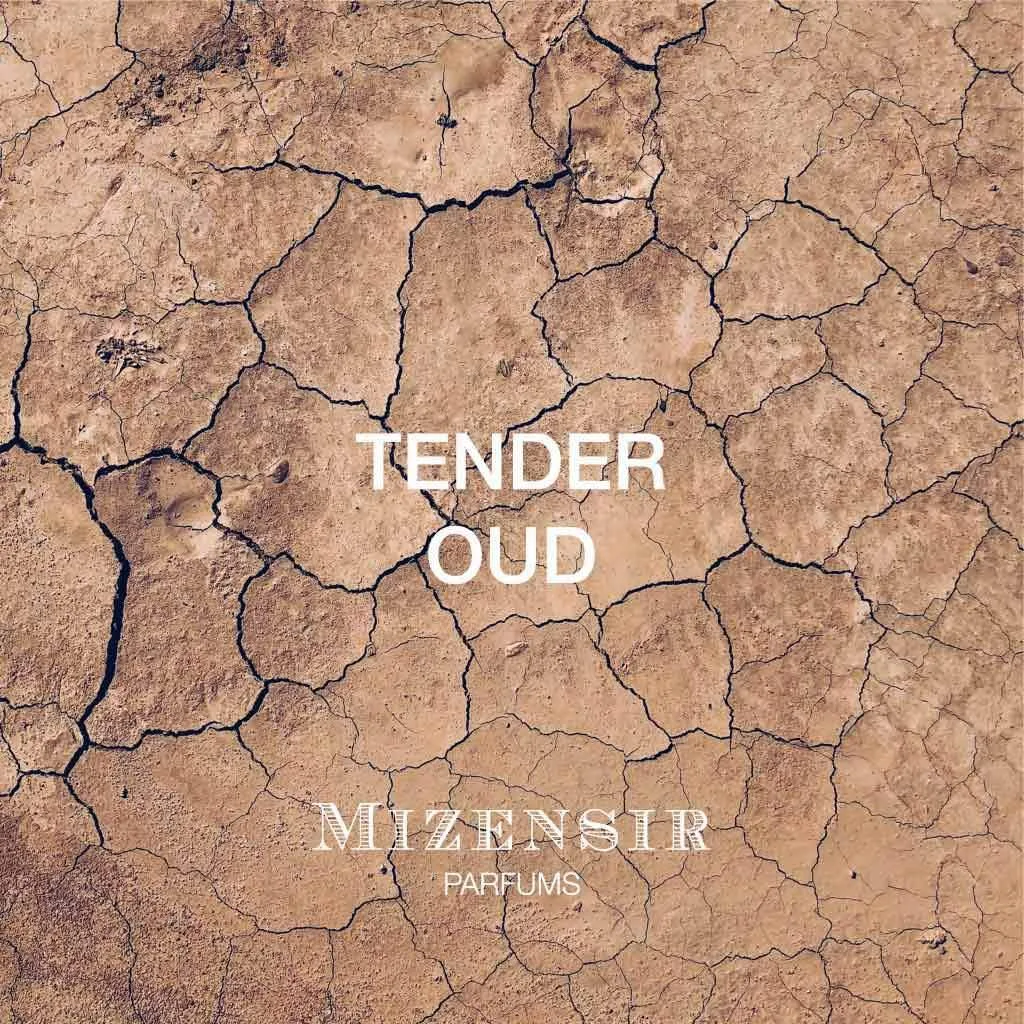 Mizensir Tender Oud Eau de Parfum 100ml