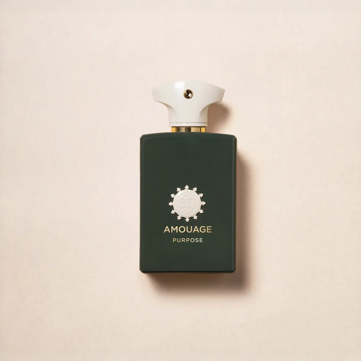 Amouage Purpose Eau de Parfum 100ml