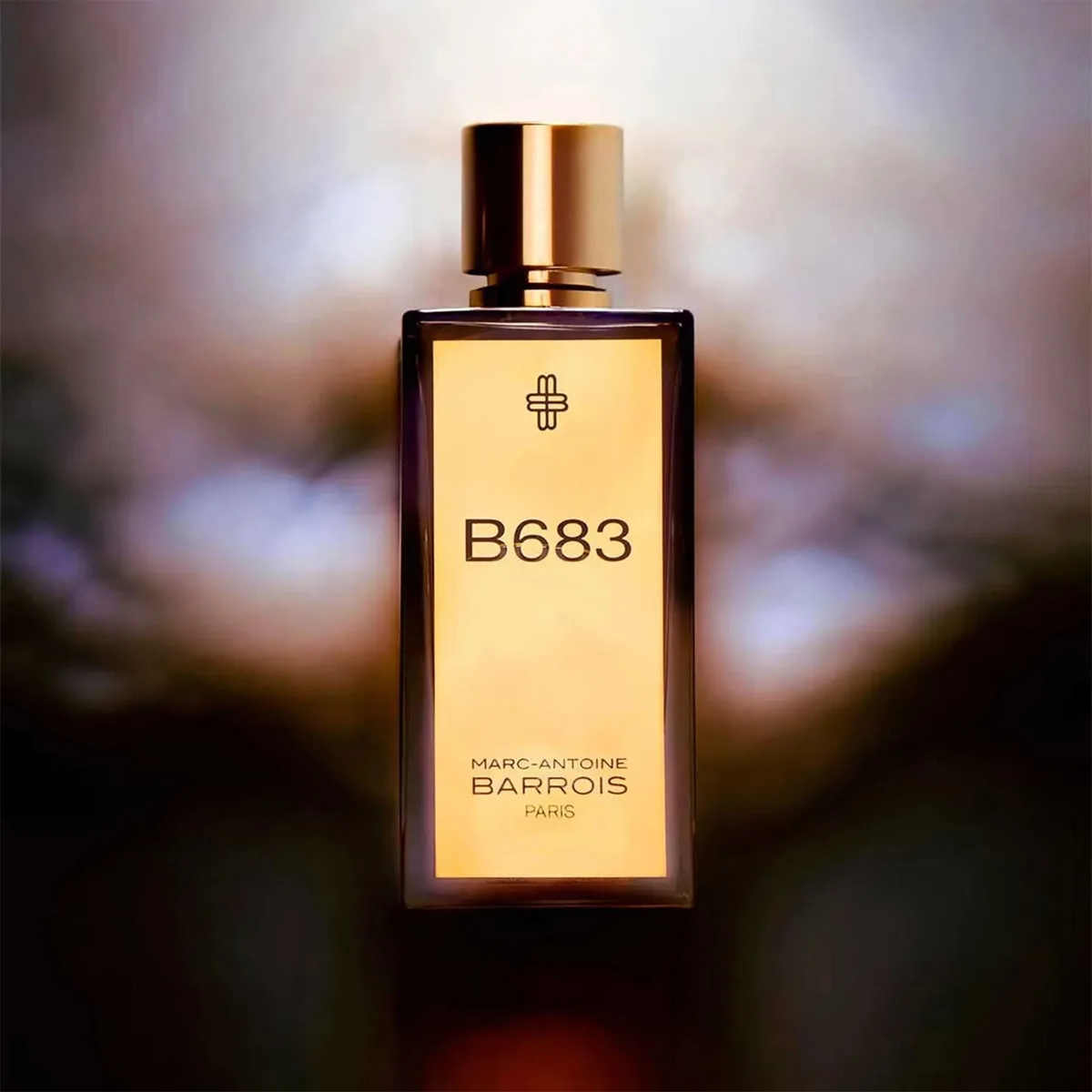 Marc Antoine Barrois Men's B683 Eau de Parfum 100ml